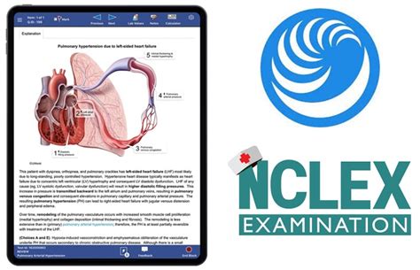 it helped me with getting basic info down, and then I bought the NCLEX course from NHY. . Uworld notes pdf nclex